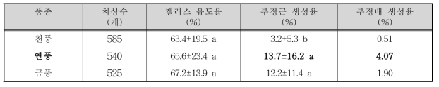 품종별 캘러스 유도율, 부정근 및 부정배 생성률