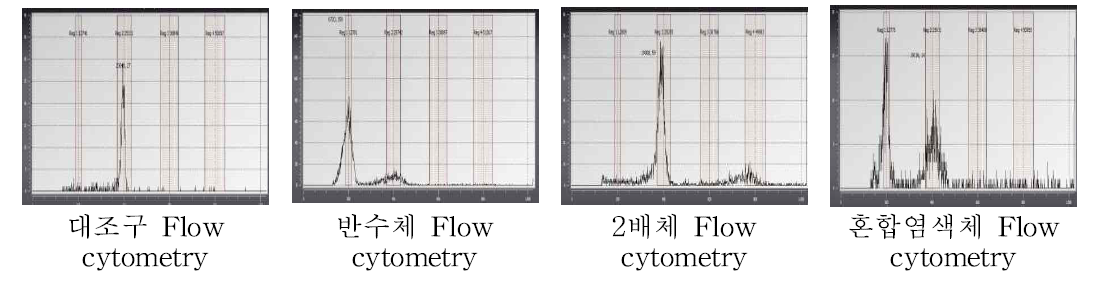 약배양 유래 캘러스 염색체 수 별 Flow cytometry 분석 결과