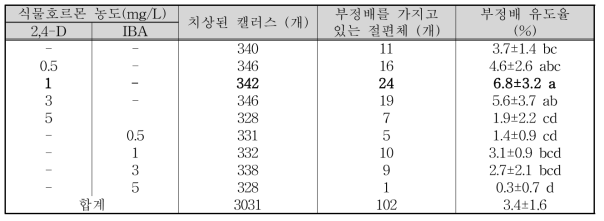 식물호르몬 조성별 부정배 유도율