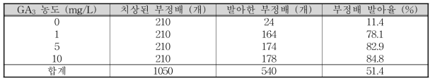 약배양 유래 부정배 발아