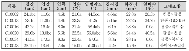 주요 F1 계통 지상부 생육 특성(4년생, 1년차)