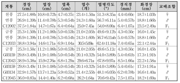 주요 F1 계통 지상부 생육 특성(4년생, 3년차)