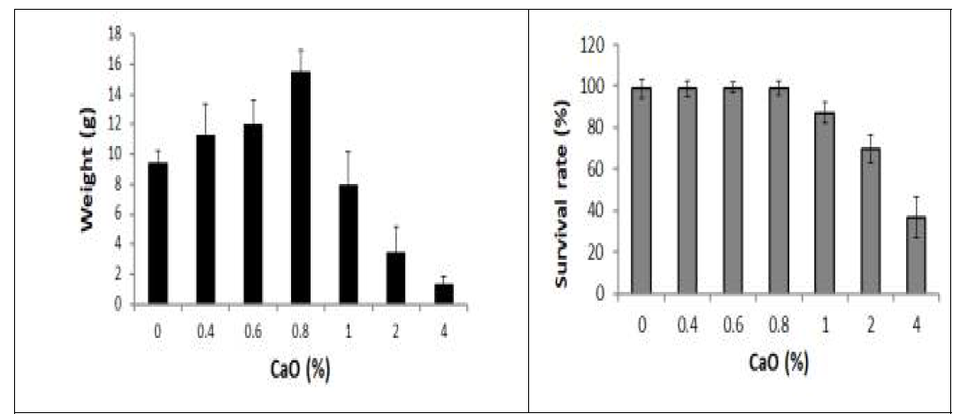 생석회(CaO)의 농도별 처리에 의한 생육 평가(좌측) 및 생존율 조사(우측)