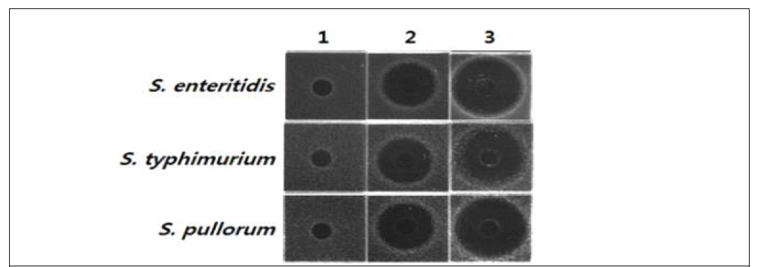 면역유도제(B. subtilis, 1x109 cfu/ml) 주입 동애등에 혈림프의 가금류의 주요 병원균인 S. pullorum, S. typhimurium 및 S. enteritidis 3종 살모넬라균에 대한 항균활성 분석