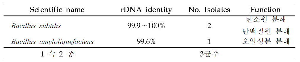 음식물 분해 세균의 16S rDNA 염기서열 분석에 의한 동정 결과