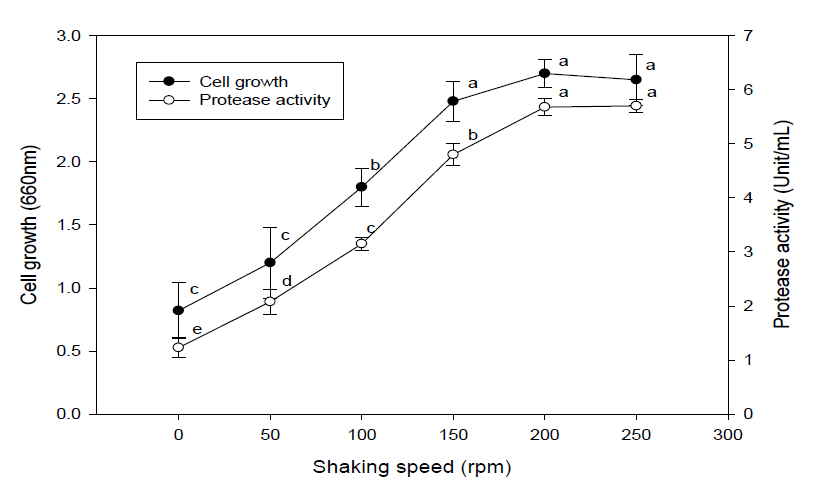 Effect of shaking speed on the growth and protease activity of B.amyloliquefaciensJH-35