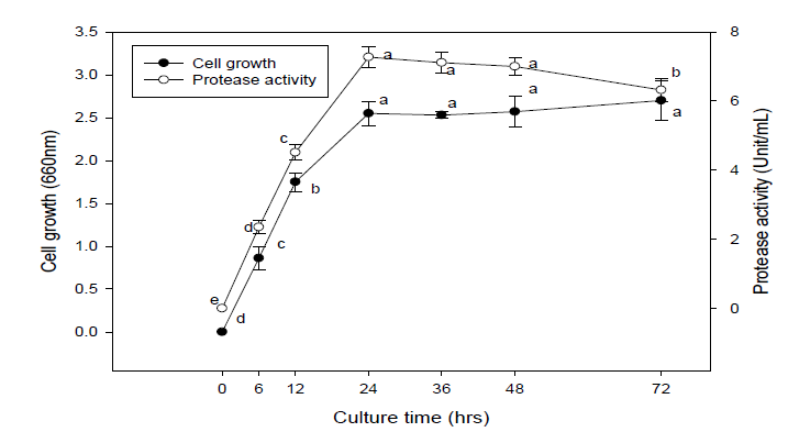 Effect of large scale culture on the growth and protease activity of B.amyloliquefaciensJH-35