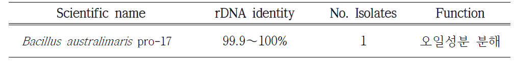 음식물(단백질성분) 분해 세균의 16S rDNA 염기서열 분석