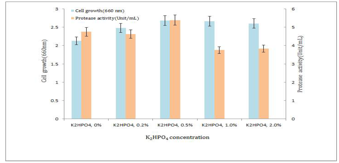 K2HPO4 농도에 따른 생육과 protease 활성 결과