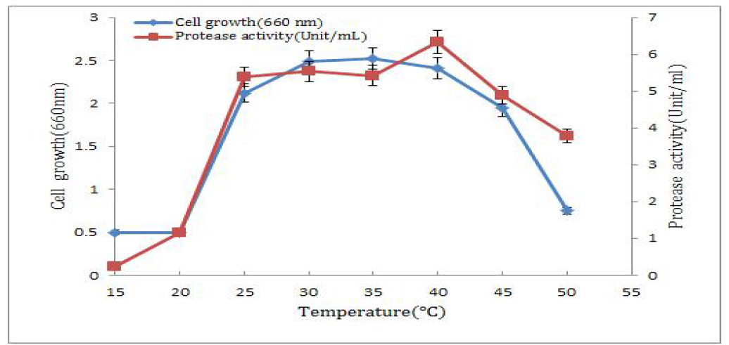 온도에 따른 생육과 protease 활성 결과