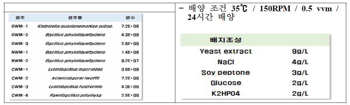 대두박을 이용한 고상발효 최적배양조건 확립결과