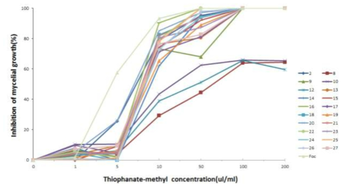 티오파네이트메틸 수화제 배지 농도에 따른 균주들의 균사 생장 억제율