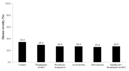 약제 무처리구와 약제 처리구에서의 평균 발병도(2016년)