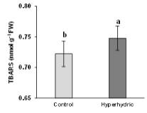 Lipid peroxidation measured in terms of TBARS in the normal and hyperhydric shoots of D. caryophyllus ‘Garnet’