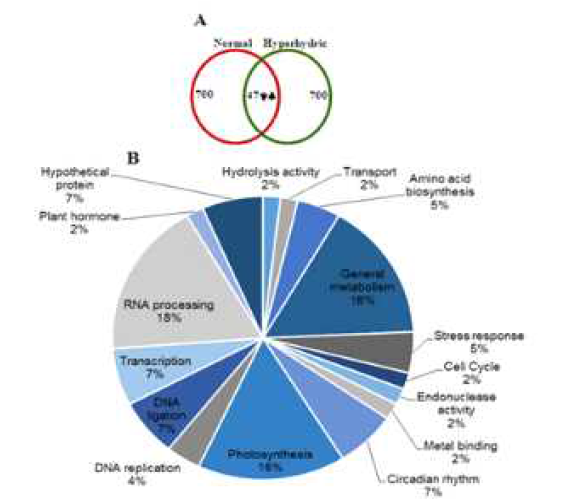 Gene ontology analysis of the normal and hyperhydric shoots of D. caryophyllus ‘Garnet’