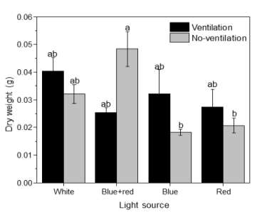 Effect of light quality on dry weight of carnation cultured in vitro for 6 weeks