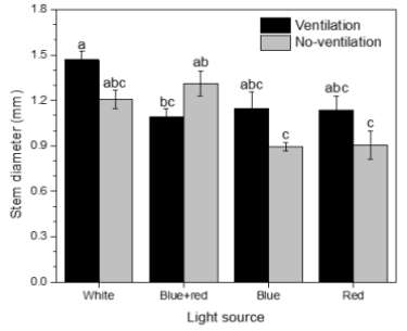 Effect of light quality on stem diameter of carnation cultured in vitro for 6 weeks