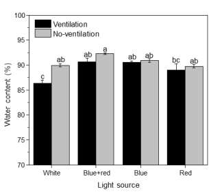 Effect of light quality on water content of carnation cultured in vitro for 6 weeks