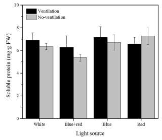 Effect of light quality on soluble protein of carnation cultured in vitro for 6 weeks