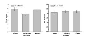 Effect of medium on no. of nodes (A) and shoots (B) of carnation plantlets after 10 days of acclimatization