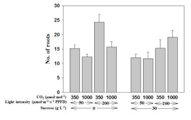Effect of levels of medium sucrose, air CO2, and light intensity on no. of roots of carnation plantlets cultured in vitro for 4 weeks