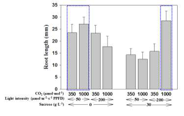 Effect of levels of medium sucrose, air CO2, and light intensity on root length of carnation plantlets cultured in vitro for 4 weeks