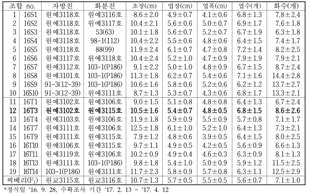 종자번식 딸기 우수조합 선발을 위한 교배 조합의 식물체 특성(‘16~’17)