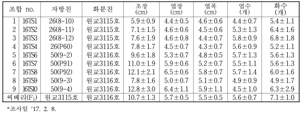 종자번식 딸기 ‘씨베리’의 교배본의 근친교배 조합의 생육 특성 검정(‘16~’17)