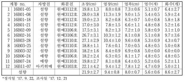 영양번식 재배품종과 고경도 고정계통의 교배조합으로부터 선발한 계통의 식물체 특성