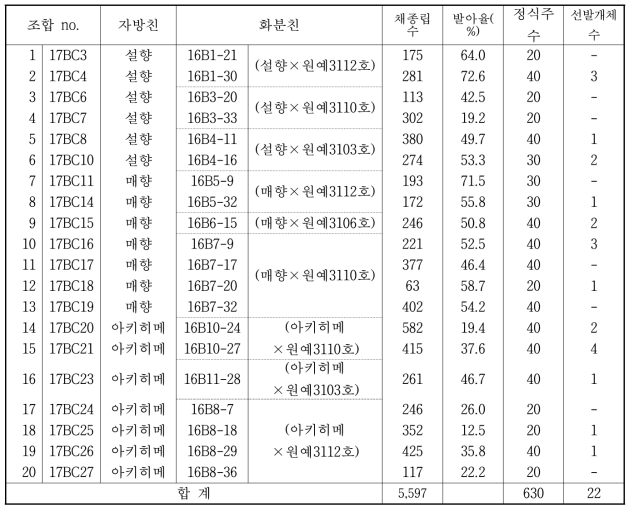 재배품종과 고정계통의 교배조합의 선발개체의 여교배 조합 및 선발개체 수(‘18~’19)