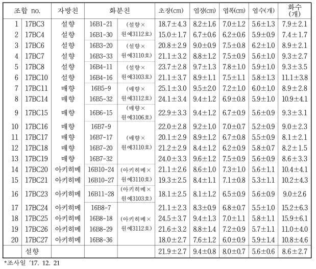 재배품종과 고정계통의 교배조합의 선발개체의 여교배 조합의 식물체 특성