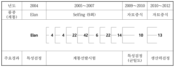 육성계통도