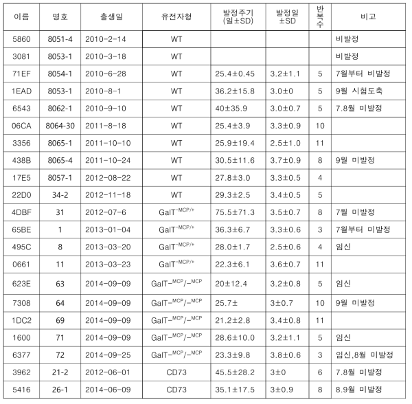 MGH 일반 및 형질전환 미니돼지의 발정주기 분석