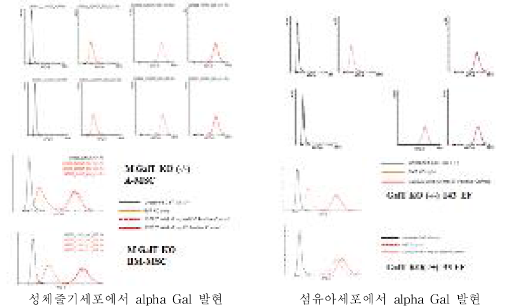 유세포 분석기를 통한 다양한 세포에서 alpha Gal 발현분석