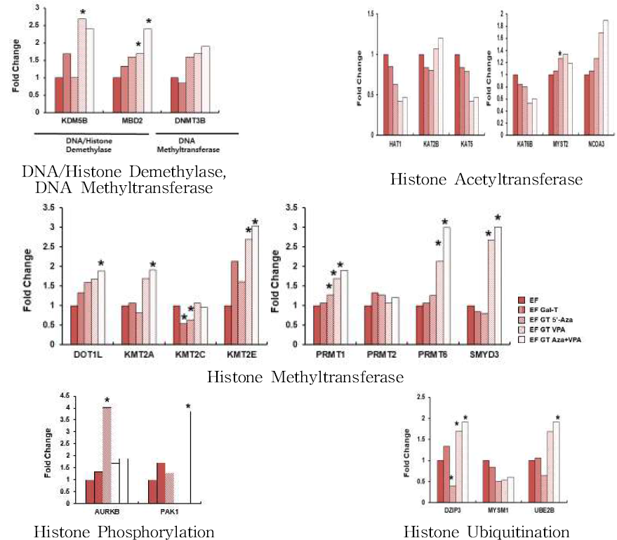 PCR 기반의 글로벌 acetylation과 methylation의 변화 분석
