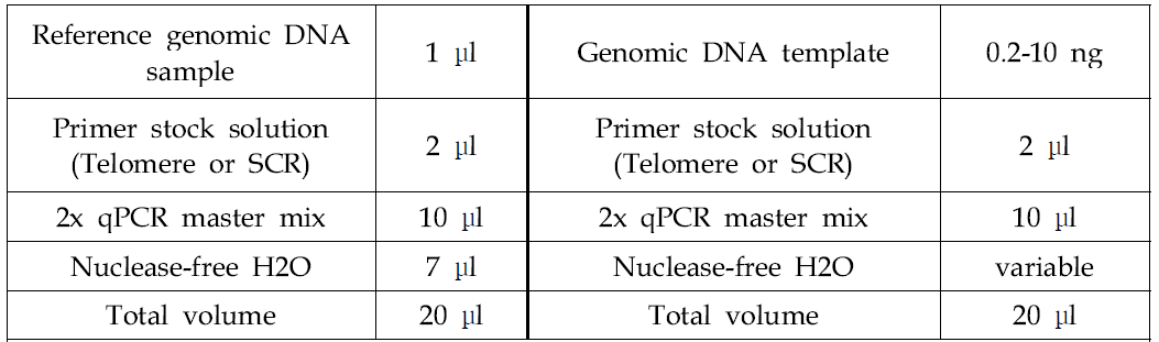 PCR 합성 조성