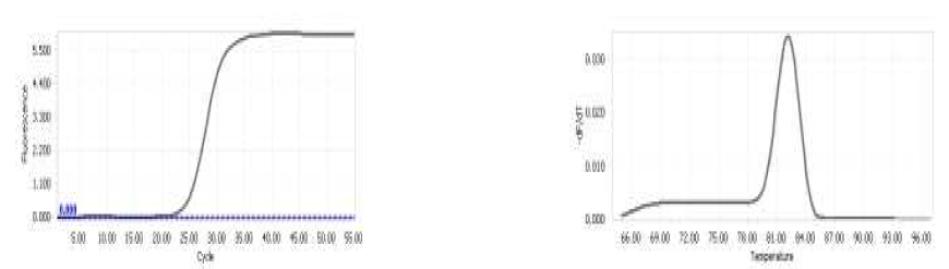 PCR 과정의 melting curves