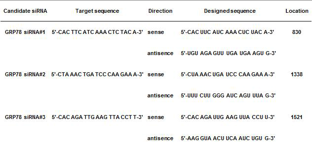 A list of GRP78 siRNA oligonucleotide