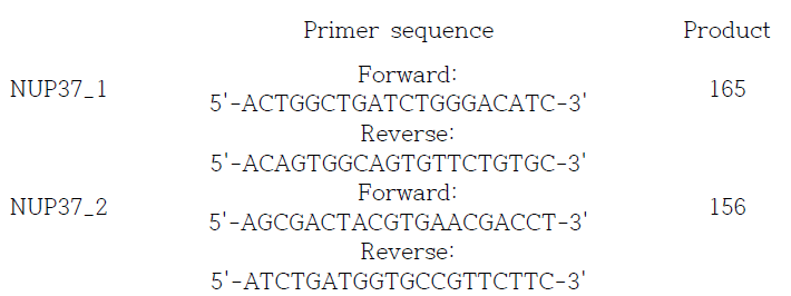 NUP37 유전자 정량 발현 분석을 위한 primer 서열