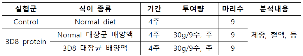 실험 일정