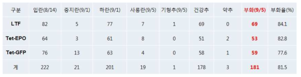 후보형질전환 병아리 2차 부화