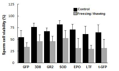 채정 닭 정자의 동결 전후의 생존율 조사 결과