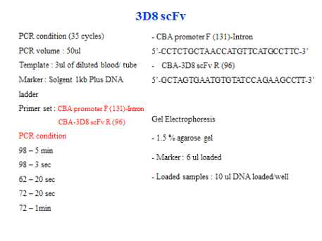 3D8 분석용 PCR 조건