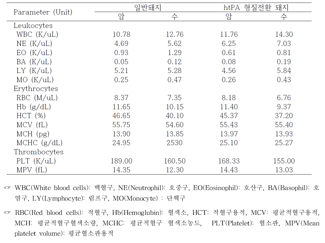 tPA 형질전환 돼지의 혈중 세포 분석