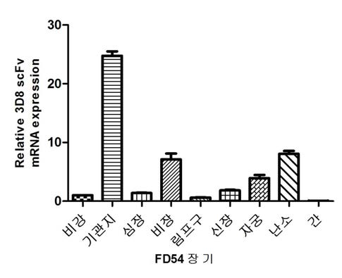 각 장기별 상대적 3D8 scFv mRNA 발현량 확인