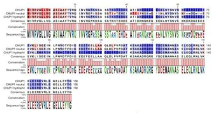 BsChUP1 substitution constructs의 hydrophobicity 분석. 소수성 amino acid (red), 친수성 amino acid (blue). ChUP1 = native sequence