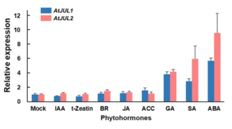 호르몬에 의한 JUL1과 JUL2의 유전자발현 변화 분석