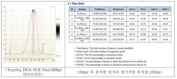 Genomic DNA의 일차적인 단거리 sequencing 결과