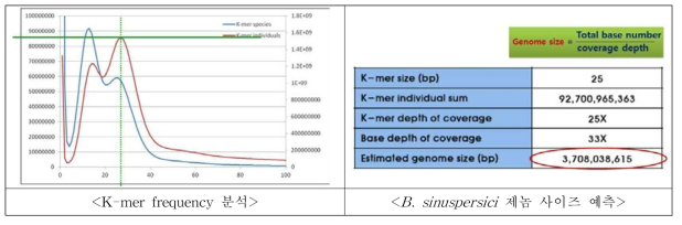 K-mer 분석을 통한 genome size estimation