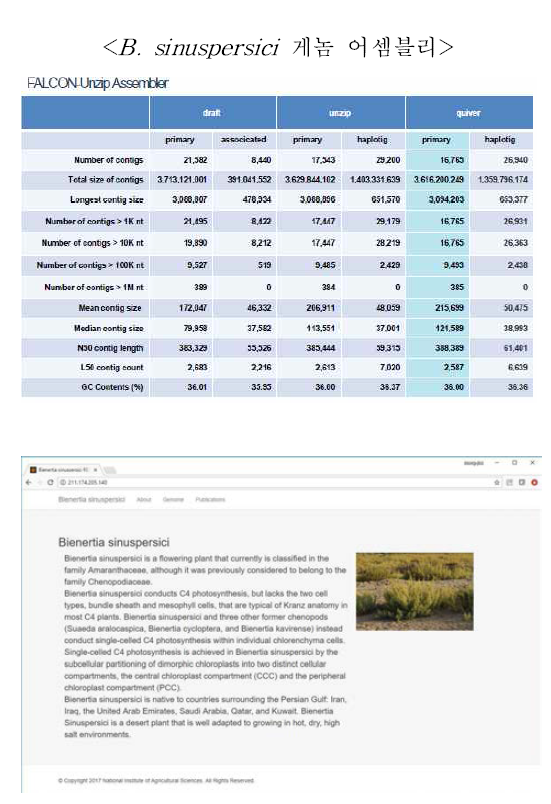 B. sinuspersici genome 브라우저 소개